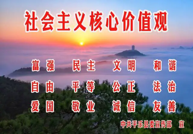 为什么可靠的篮球技术指导对初学者很重要?_1
