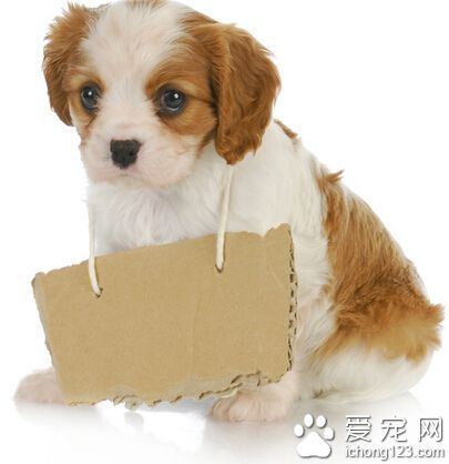 如何通过团队协作策略提升整体篮球水平_2